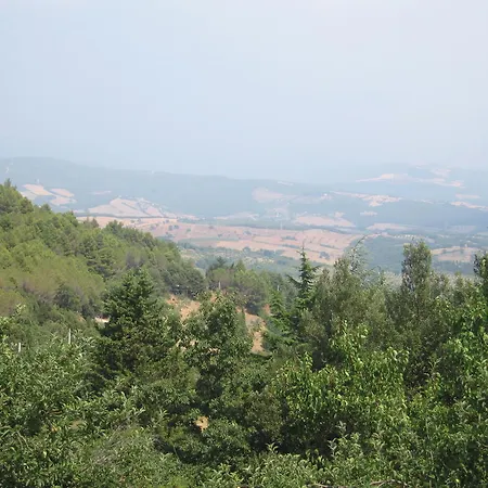 Belvedere Suvereto