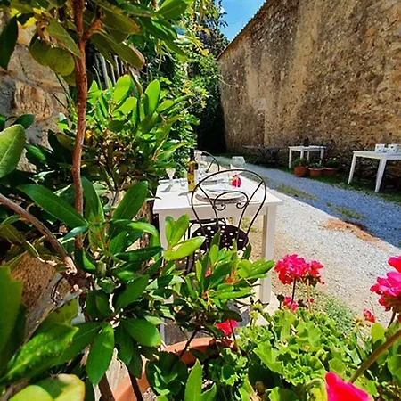 Bed & Breakfast Belvedere